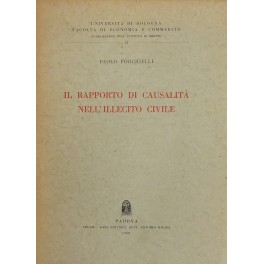 Il rapporto di causalità nell'illecito civile