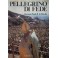 Pellegrino di fede. Giovanni Paolo II in Brasile