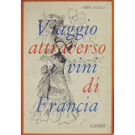 Viaggio attraverso i vini di Francia