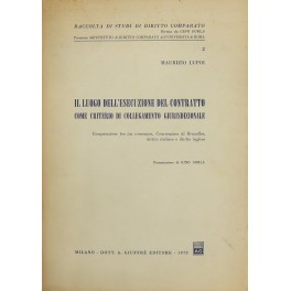 Il luogo dell'esecuzione del contratto Il luogo dell'esecuzione del contratto