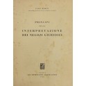 Principi sulla interpretazione dei negozi giuridici