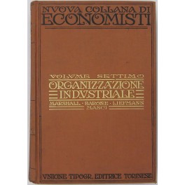 Organizzazione industriale