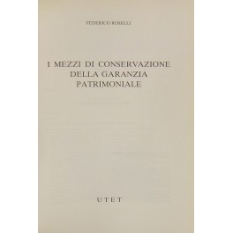 I mezzi di conservazione della garanzia patrimoniale