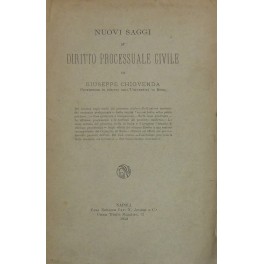 Nuovi saggi di diritto processuale civile