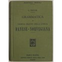 Grammatica ed esercizi pratici della lingua danese norvegiana