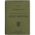 Grammatica ed esercizi pratici della lingua danese norvegiana