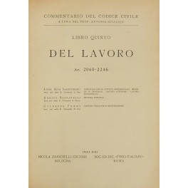 Disciplina delle attività professionali. Disciplina delle attività professionali.