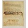 Manoscritti e miniature Il libro prima di Gutenberg