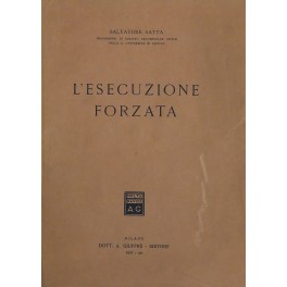 L'esecuzione forzata