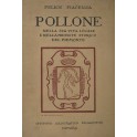 Pollone. Nella sua vita locale e nell'ambiente storico del Piemonte