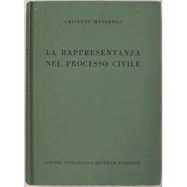 La rappresentanza nel processo civile