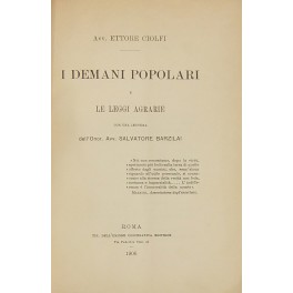 I demani popolari e le leggi agrarie I demani popolari e le leggi agrarie