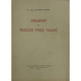 Lineamenti del processo penale italiano