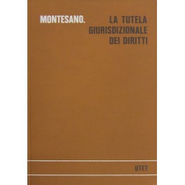 La tutela giurisdizionale dei diritti
