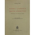 Norma giuridica e diritto soggettivo (Rechtsnorm u