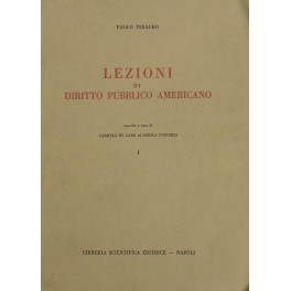 Lezioni di diritto pubblico americano