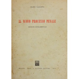 Il nuovo processo penale