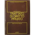 Trattato di diritto privato.
