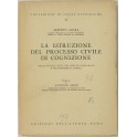 La istruzione del processo civile di cognizione. N