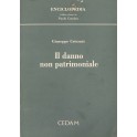 Il danno non patrimoniale