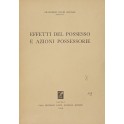Effetti del possesso e azioni possessorie