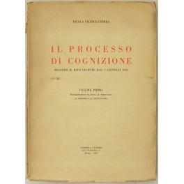 Il processo di cognizione