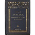 Il diritto processuale civile internazionale