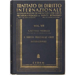 Il diritto processuale civile internazionale