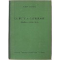 La tutela cautelare (Profilo sistematico)