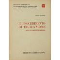 Il procedimento di ingiunzione nella giurisprudenz