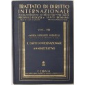 Il diritto internazionale amministrativo