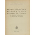 La tutela delle privative industriali e dei marchi