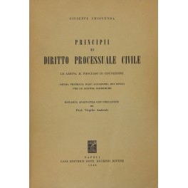 Principii di diritto processuale civile Principii di diritto processuale civile