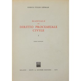 Manuale di diritto processuale civile