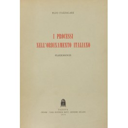 I processi nell'ordinamento italiano. (Lezioni)