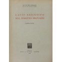 L'atto esecutivo nel diritto privato. (Appunti)