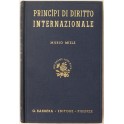 Principi di diritto internazionale