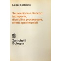 Separazione e divorzio: fattispecie, disciplina processuale, effetti apatrimoniali