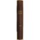 Repertorio Generale Annuale del Foro Italiano. Vol. XXV - Anno 1900