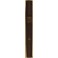 Repertorio Generale Annuale del Foro Italiano. Vol. XXIX - Anno 1904