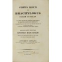 Corpus legum sive Brachylogus iuris civilis.