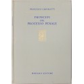 Principi del processo penale