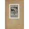Ex-Libris. XXXVI xilografie originali con uno scri
