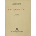 L'onere della prova