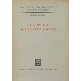 La nozione di oggetto sociale