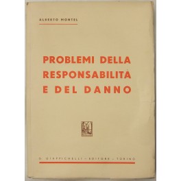 Problemi della responsabilità e del danno