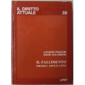 Il fallimento. Profili applicativi.