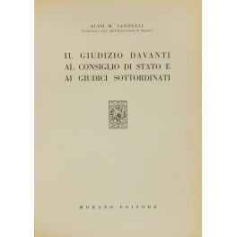 Il giudizio davanti al Consiglio di Stato e ai giudici sottordinati Il giudizio davanti al Consiglio di Stato e ai giudici sottordinati