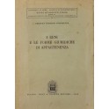I beni e le forme giuridiche di appartenenza