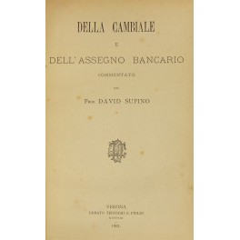 Della cambiale e dell'assegno bancario